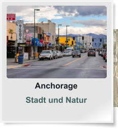 Anchorage  Stadt und Natur